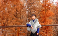 东北speakingathome